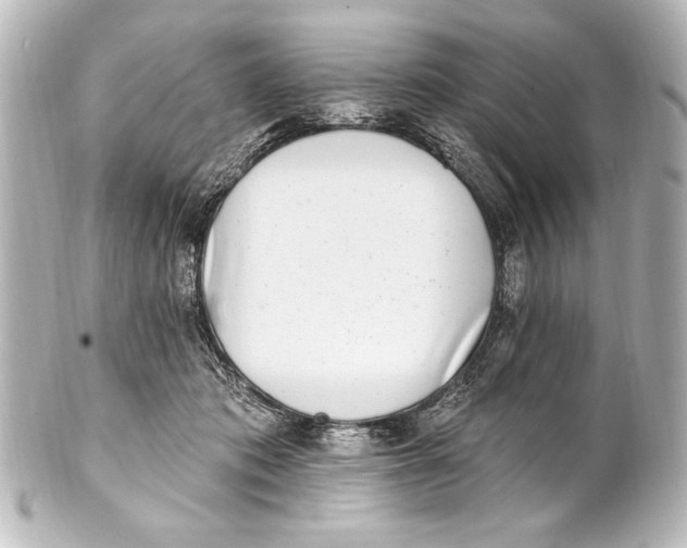X0000101420413200807280942