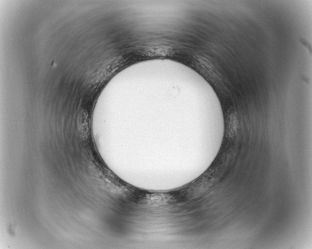 X0000101420414200807280942