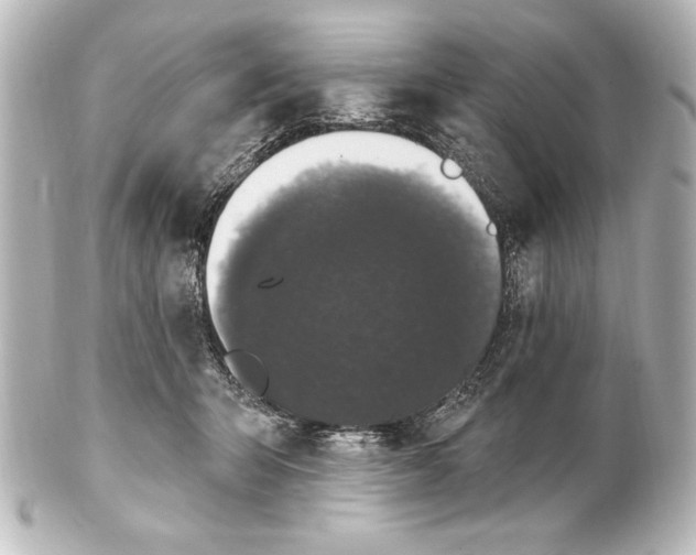 X0000101420415200807280942