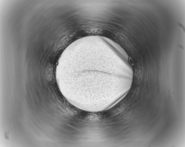 X0000101420416200807280942