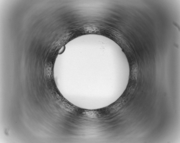 X0000101420417200807280942