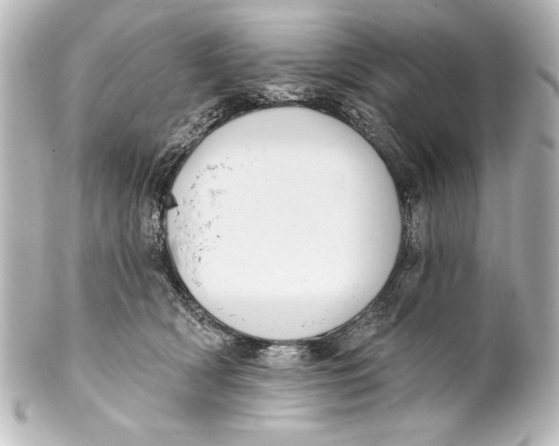 X0000101420418200807280942