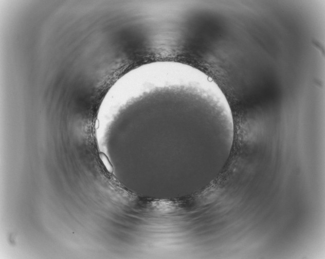 X0000101420419200807280942