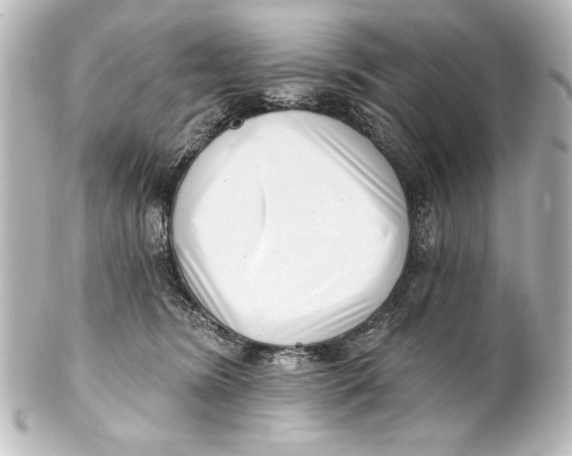 X0000101420420200807280942