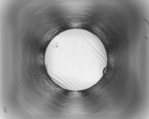 X0000101420421200807280942