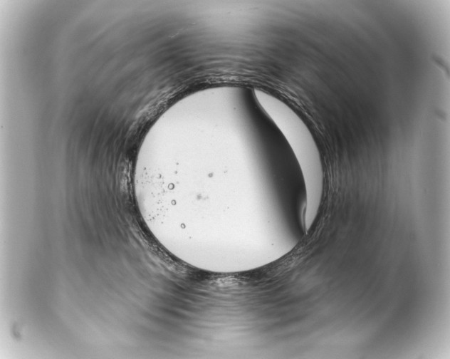 X0000101420423200807280942