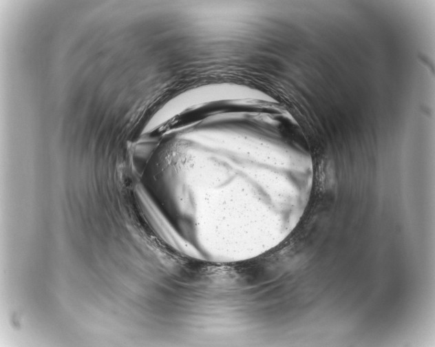 X0000101420424200807280942