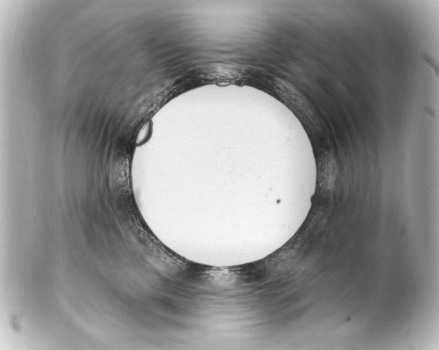 X0000101420425200807280942