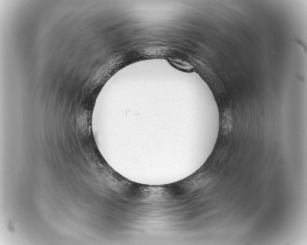 X0000101420428200807280942