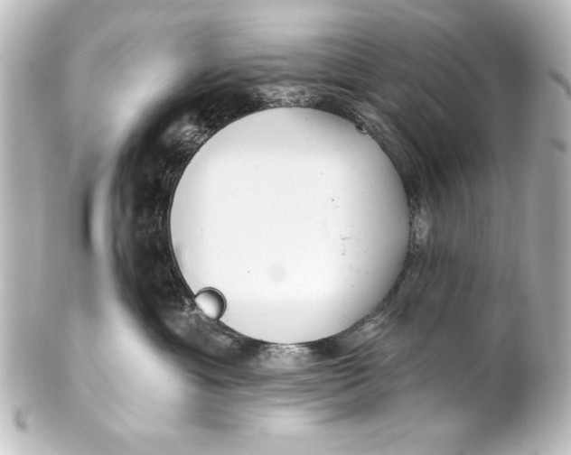 X0000101420429200807280942
