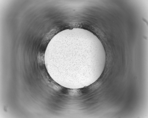 X0000101420432200807280942