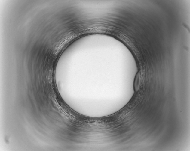 X0000101420434200807280941