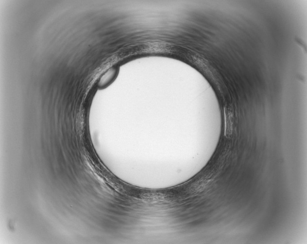 X0000101420435200807280941