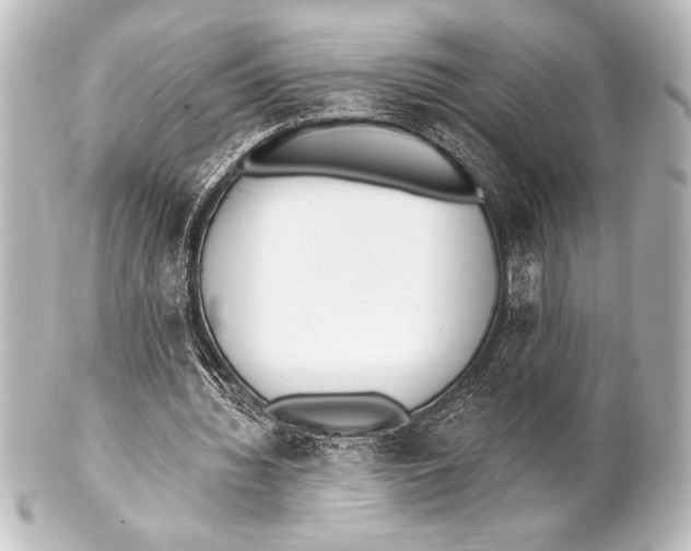 X0000101420436200807280941