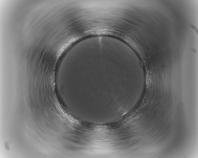 X0000101420438200807280941