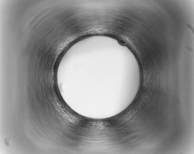 X0000101420439200807280941