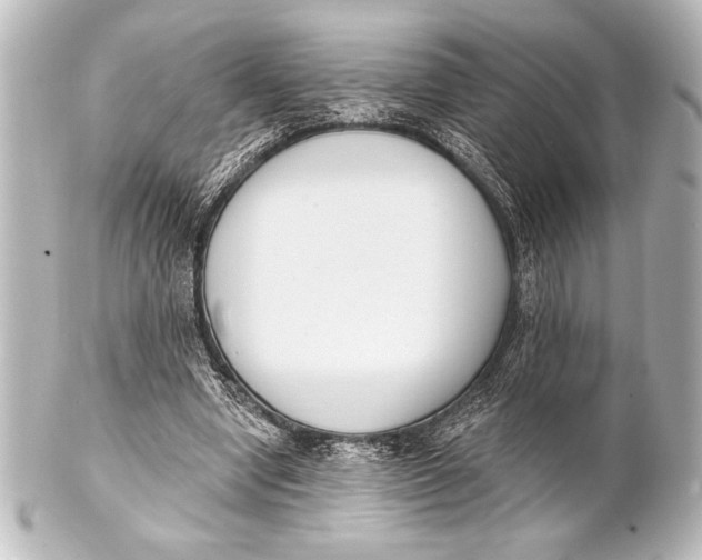 X0000101420442200807280941