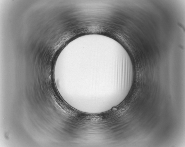 X0000101420443200807280941