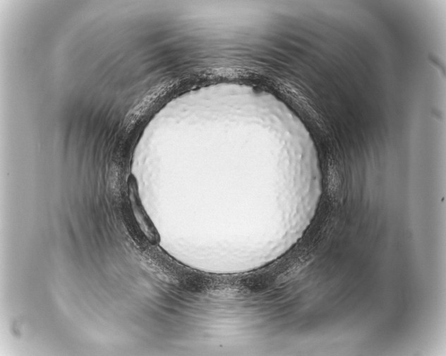 X0000101420444200807280941