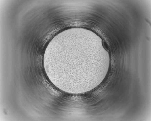 X0000101420445200807280941