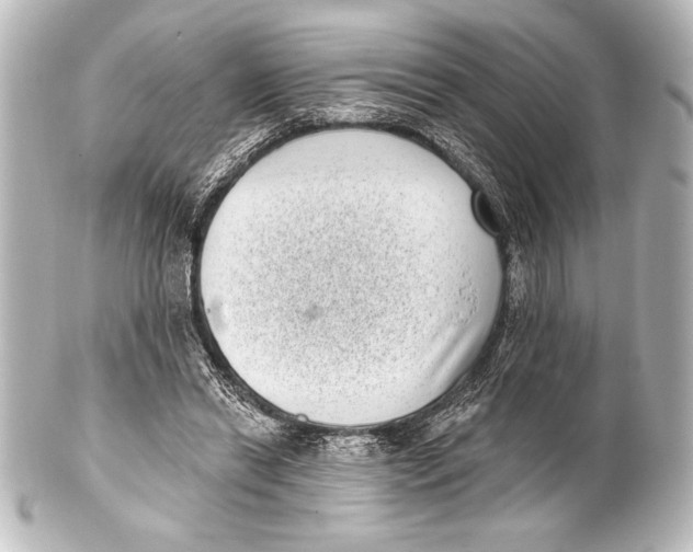 X0000101420446200807280942