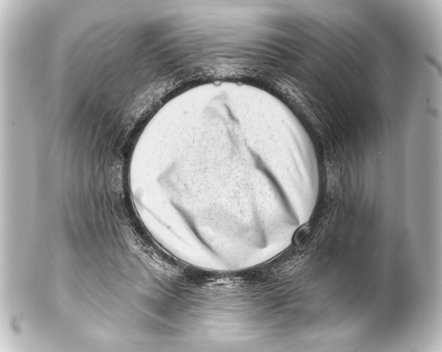 X0000101420447200807280942
