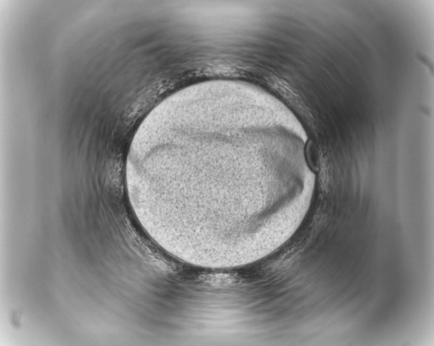 X0000101420449200807280942