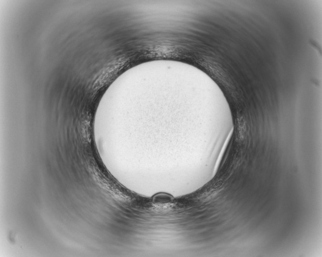 X0000101420450200807280942