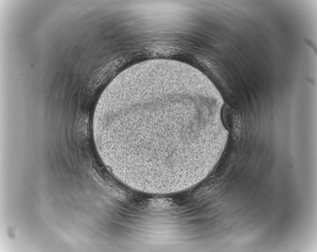X0000101420451200807280942