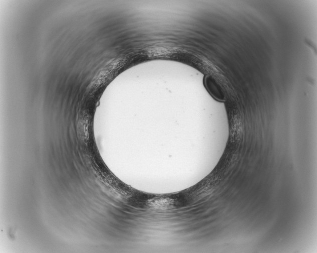 X0000101420452200807280942