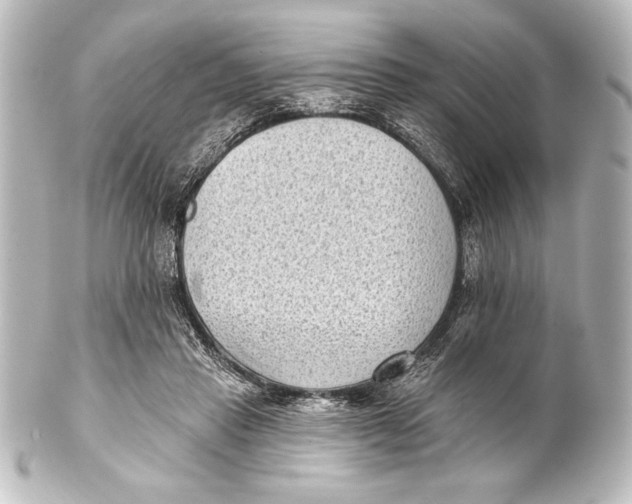 X0000101420453200807280942