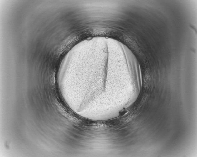 X0000101420454200807280942