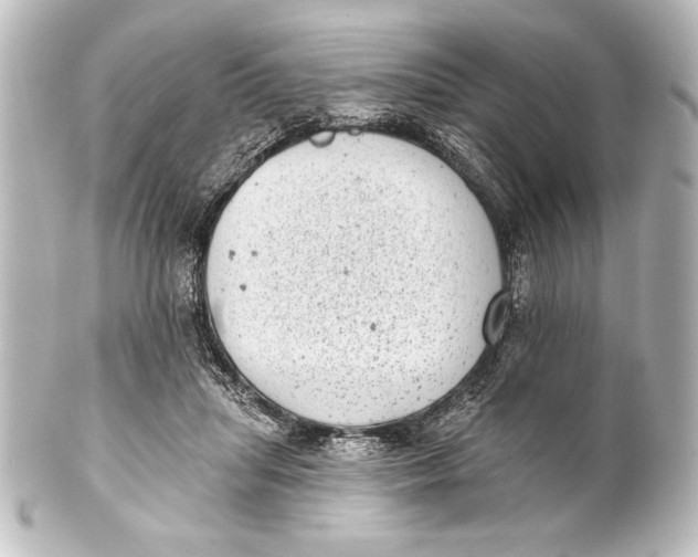 X0000101420455200807280942