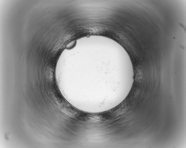 X0000101420456200807280942