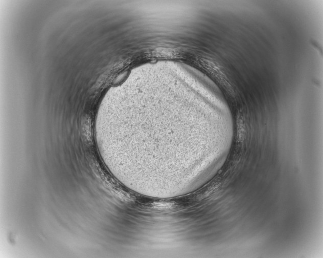 X0000101420457200807280942
