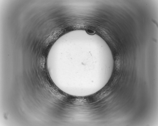 X0000101420458200807280942
