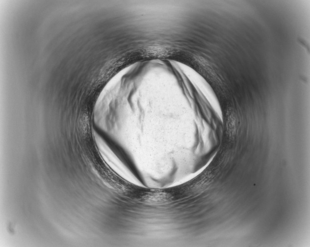 X0000101420459200807280942
