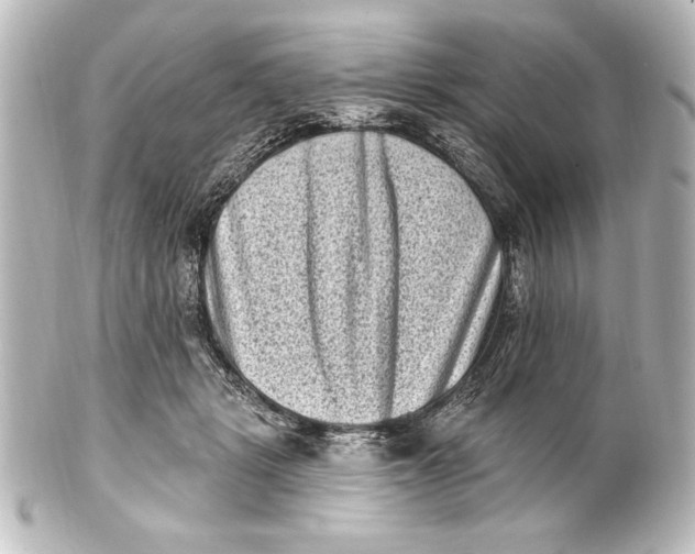 X0000101420461200807280942