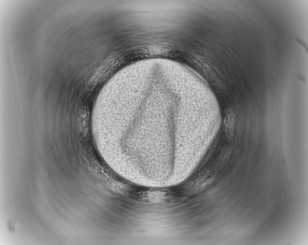 X0000101420462200807280942