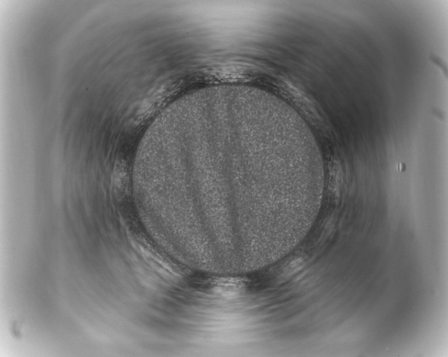 X0000101420465200807280942