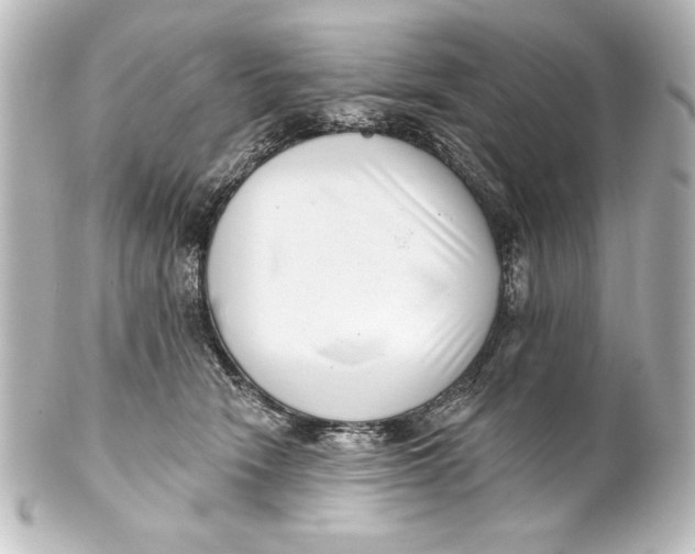 X0000101420466200807280942
