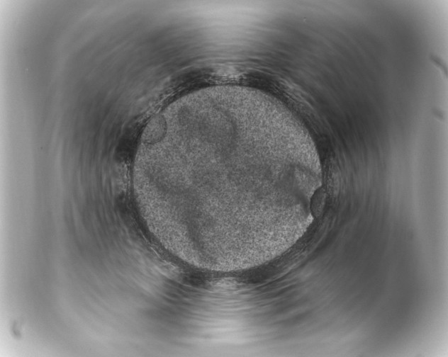 X0000101420467200807280942