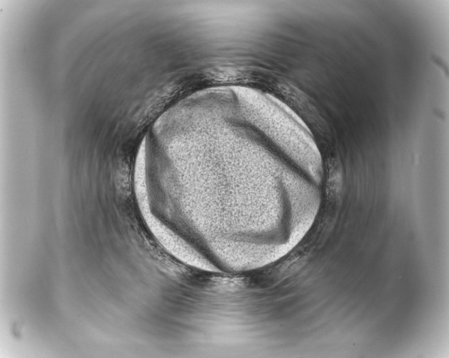 X0000101420469200807280942