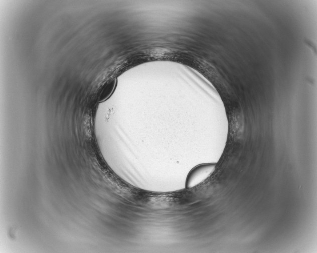 X0000101420470200807280942