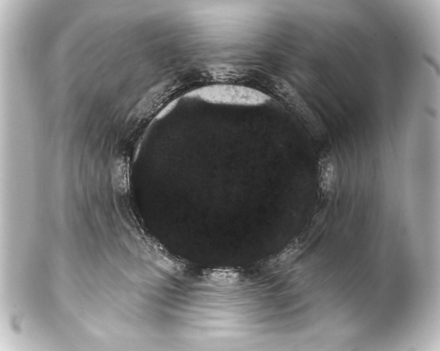 X0000101420471200807280942