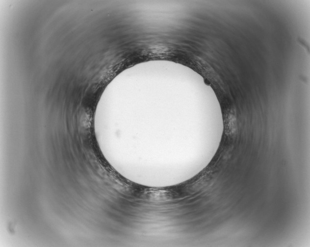 X0000101420472200807280942