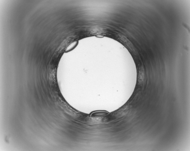 X0000101420473200807280942