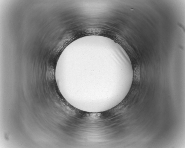 X0000101420474200807280942