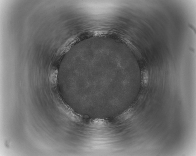 X0000101420475200807280942