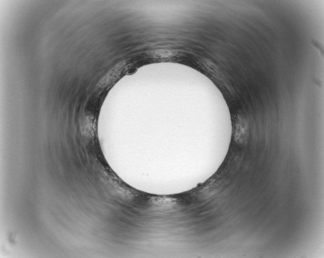 X0000101420476200807280942